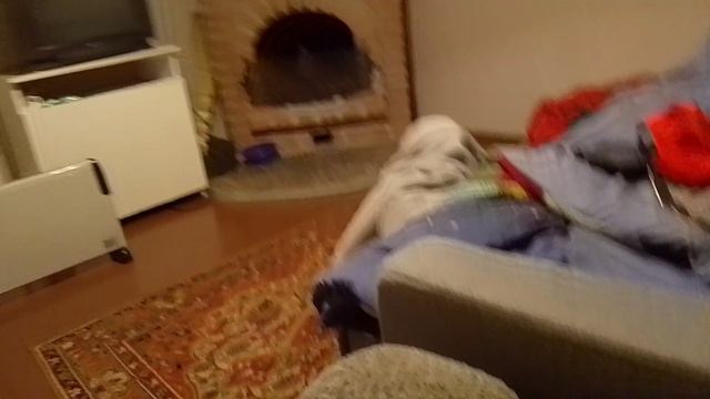 ржака 2 часть фантазии пьяного призрака и дядя Валера с лесом сказкой