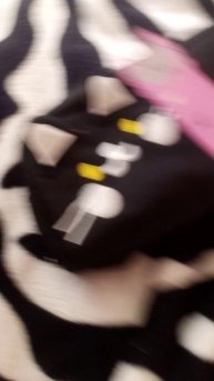 VID_20250815_102020.mp4