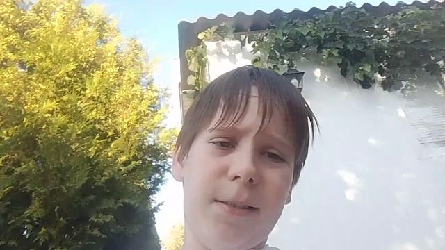 юбилейный ролик