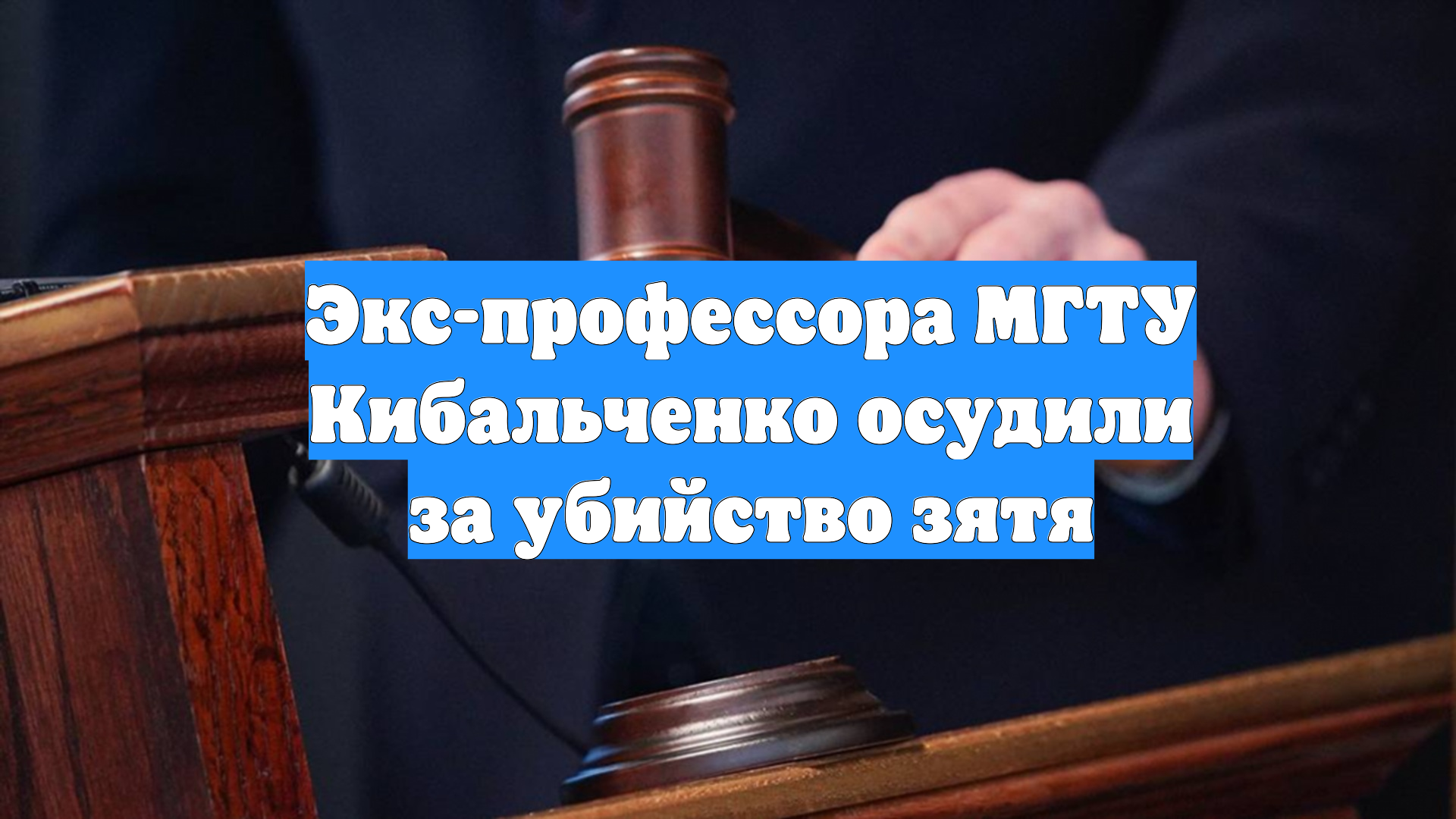 Экс-профессора МГТУ Кибальченко осудили за убийство зятя