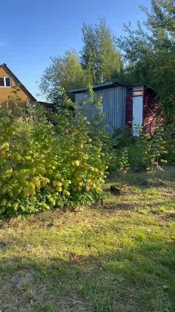 Дача. СНТ Южный - 5  Ивановский р-н