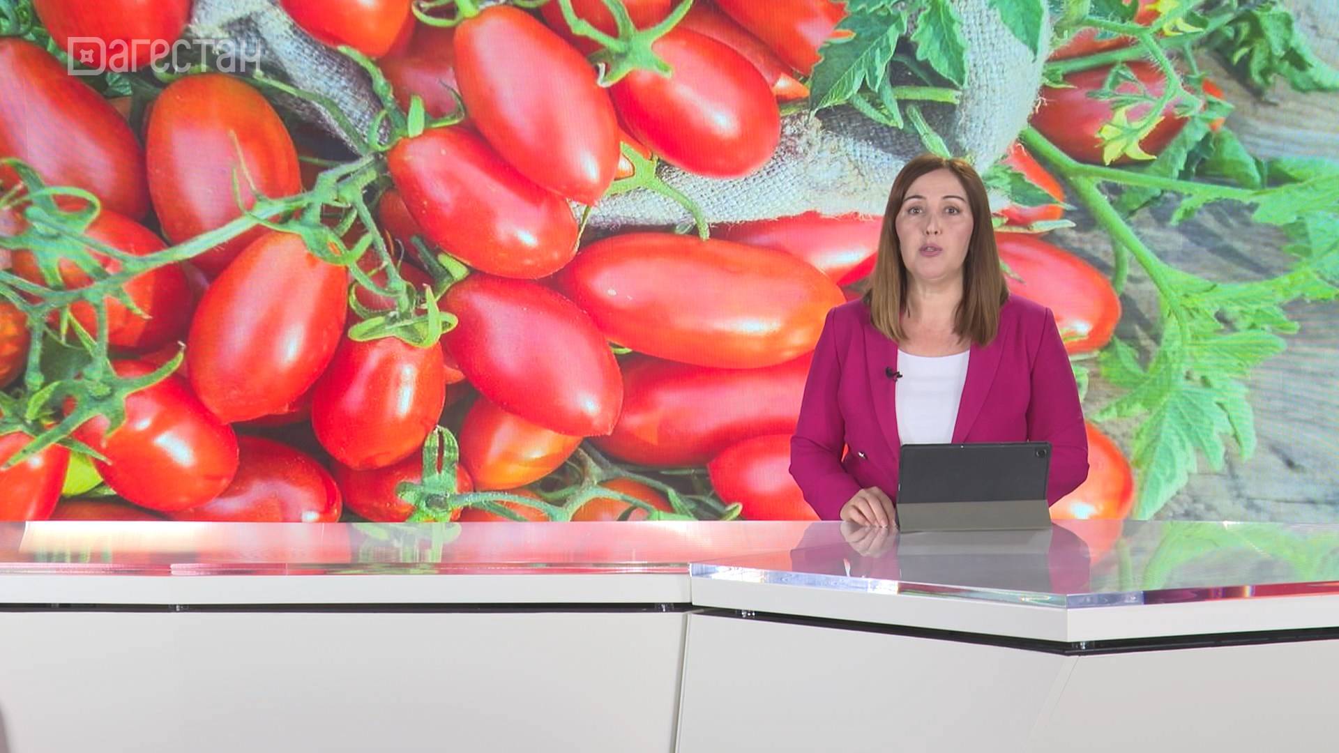 В  республике  в разгаре сбор овощей: огурцы,  картофель, морковь, баклажаны и томаты