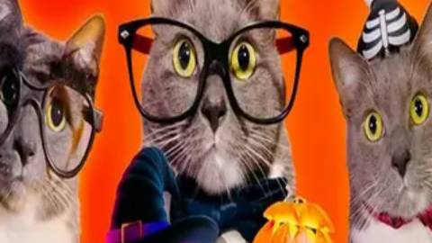 ХЭЛЛОУИН_В_ШКОЛЕ_КОТИКОВ.(kotynet)