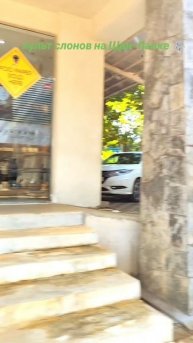 Культ слонов на Шри-Ланке 🐘