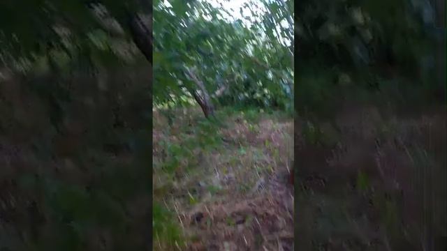 пришли собирать урожай