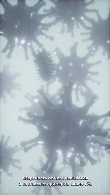 Новый вирус из Африки, о котором беспокоятся в ВОЗ. Откуда он появился? #узнаювyappy #вирус #здоровь