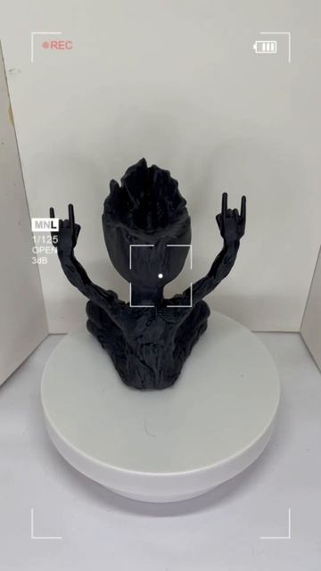 26 июня 2025 г.