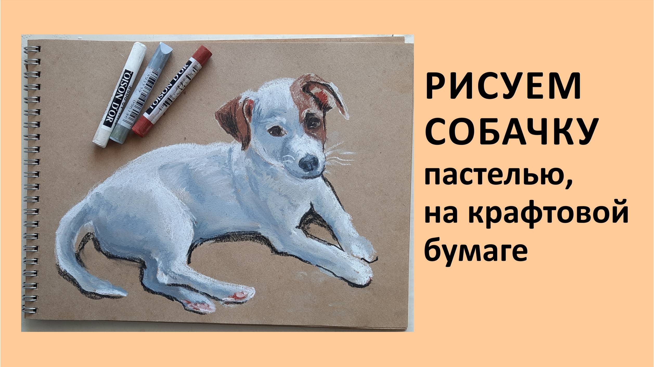 как нарисовать собаку пастелью, крафт бумага, мастер-класс. How to draw a dog with pastels