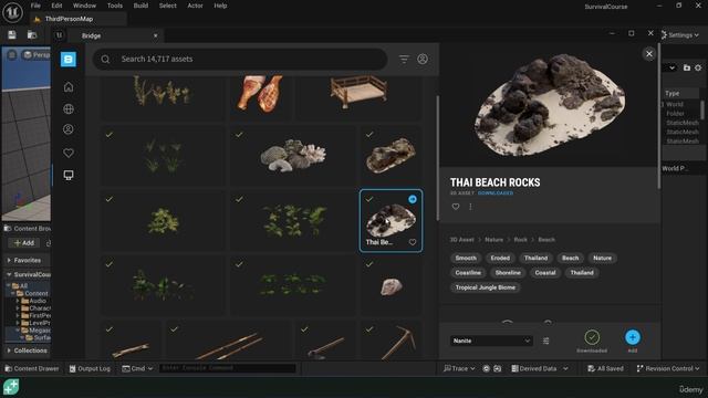 10 - Import Megascans Assets