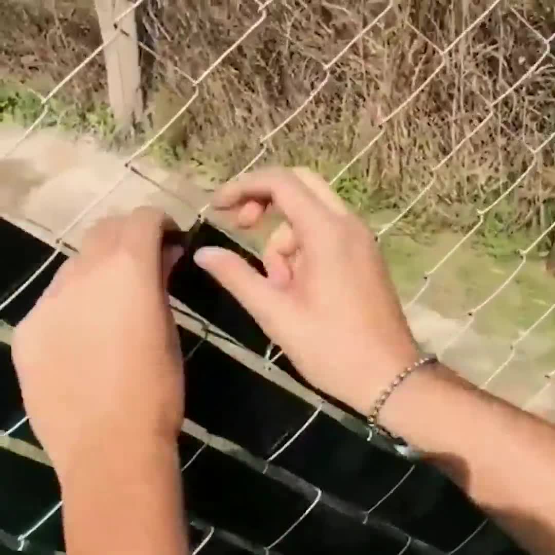 2.000.000 рублей потратила на дачу моя подруга🤯