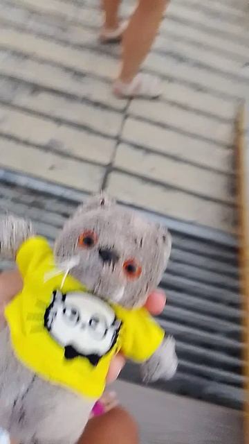 Феликс идёт гулять! |канал БасАлиса |