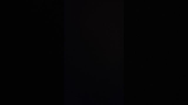 бумажные животные