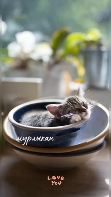 Цените август 😍