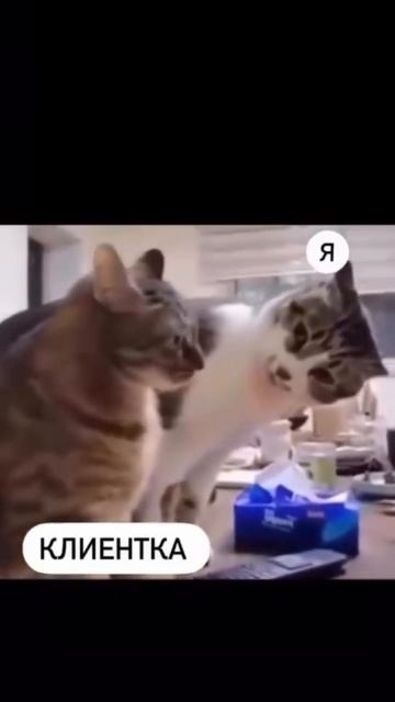 Когда клиентка сходила к другому мастеру