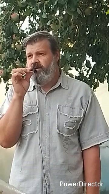 1000041556.mp4/shorts