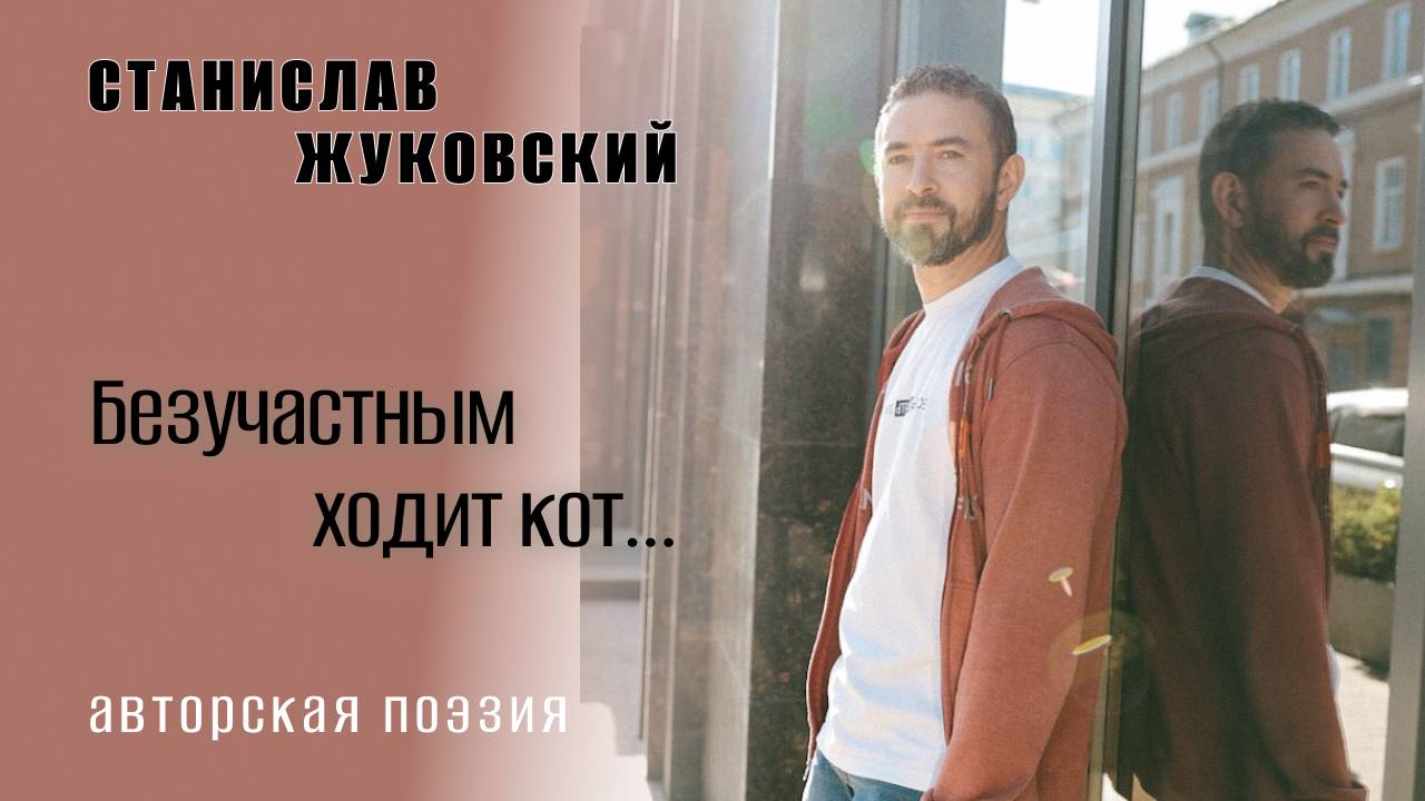 #кот #авторскаяпоэзия