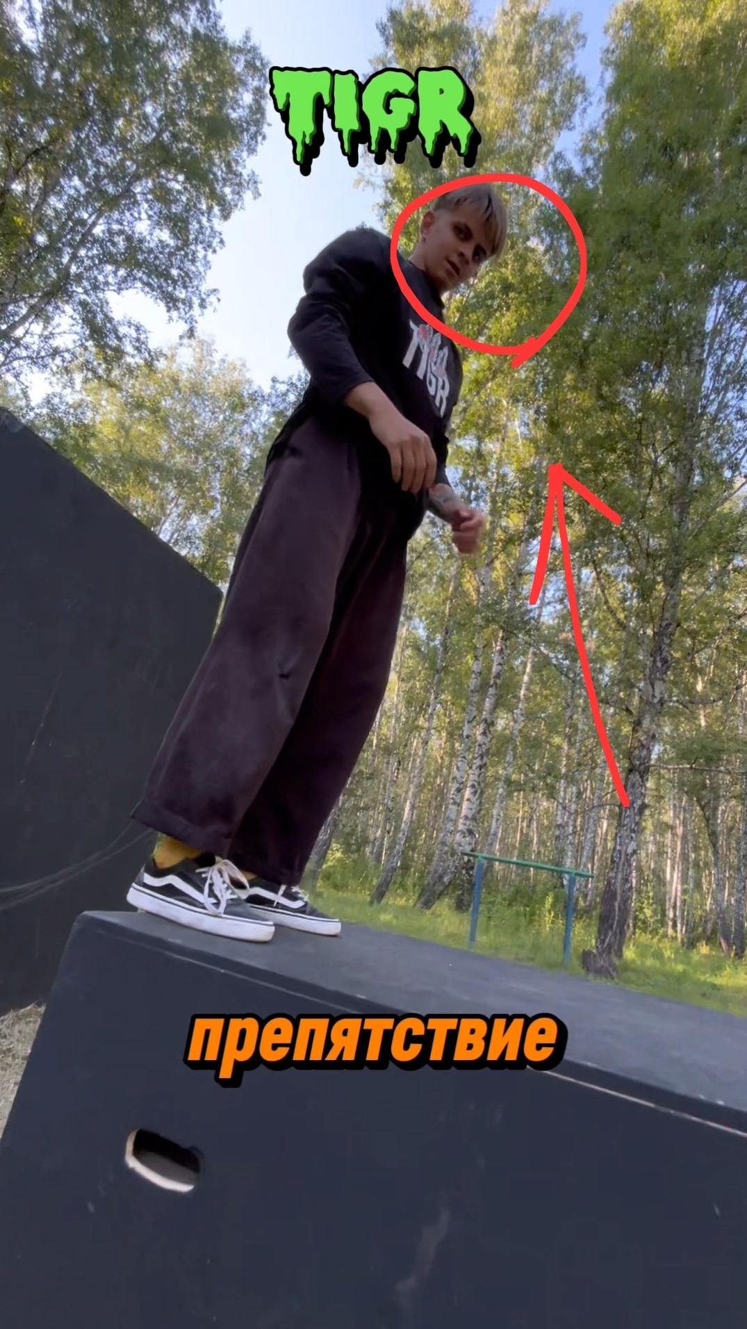 Сейфти + Арабское сальто✅ #pavelthetigr #ПавелТигр #Тюмень #Курган #Фриран #Паркур