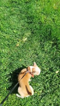 Вывела Сеню принимать витамин D 😁