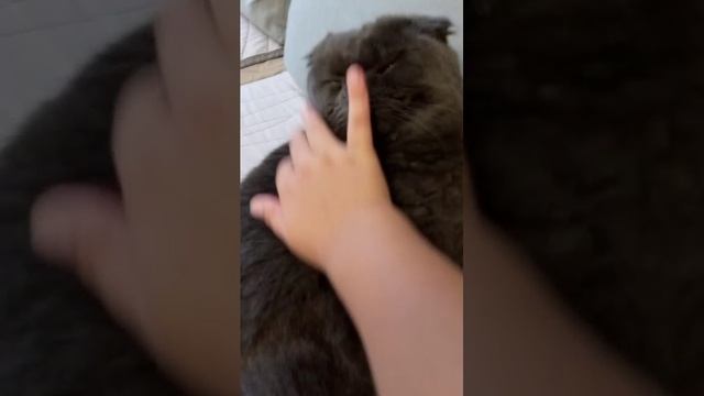 вот это поворот