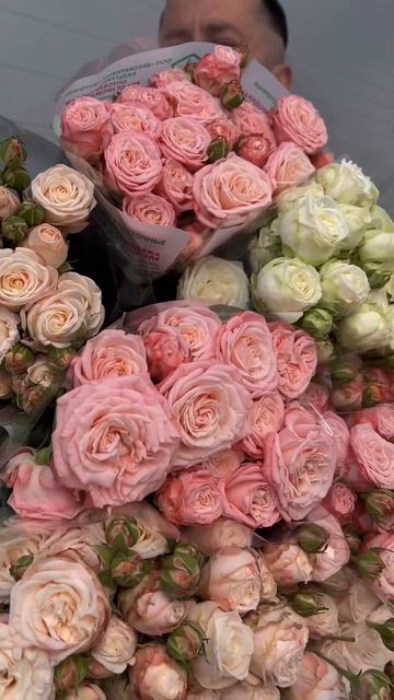 заказатьцветыкраснодар. mp4