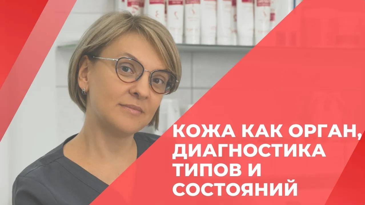 Анатомия, различные типы состояний и диагностика своей кожи. Принципы восстановления