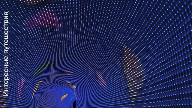 Краснодарский край г.Краснодар(Парк Галицкого) 15.08.2025