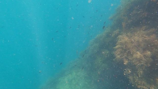 Крым. Утес Княгини Гагариной 10.08.2025