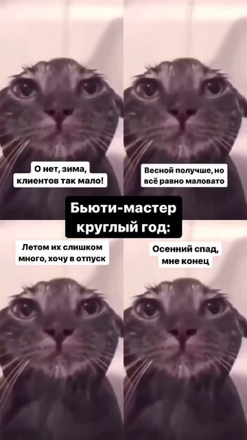 Бьюти мастер круглый год