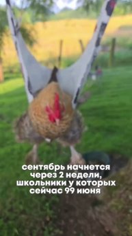 Ставь лайк, если жиза🥲🥹 #егэ#обществознание#учеба#егэ2026#школа#рекомендации#общество