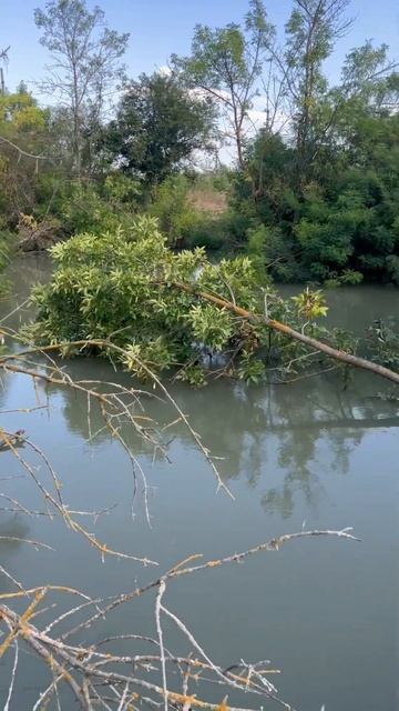 #fishing #lake #beautiful 15 августа 2025 г.