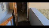 Растём вместе с Нильсом На родине Есенина