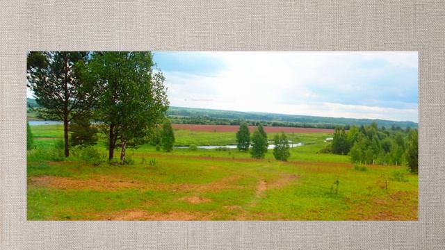 Любытино и любытинцы