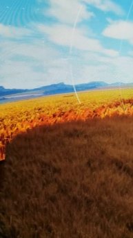 Беспилотные системы технологии будущего (70)