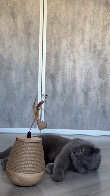 Когтеточка Mr. Kranch