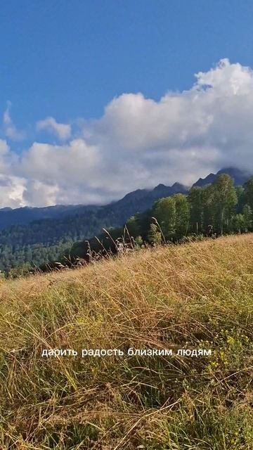 Здоровье не купишь