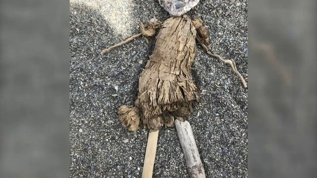 Пляжные поделки.  (1)