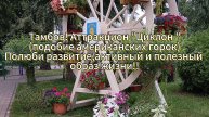 Тамбов! Аттракцион Циклон "((подобие американских горок)Полюби развитие и  полезный образ жизни!