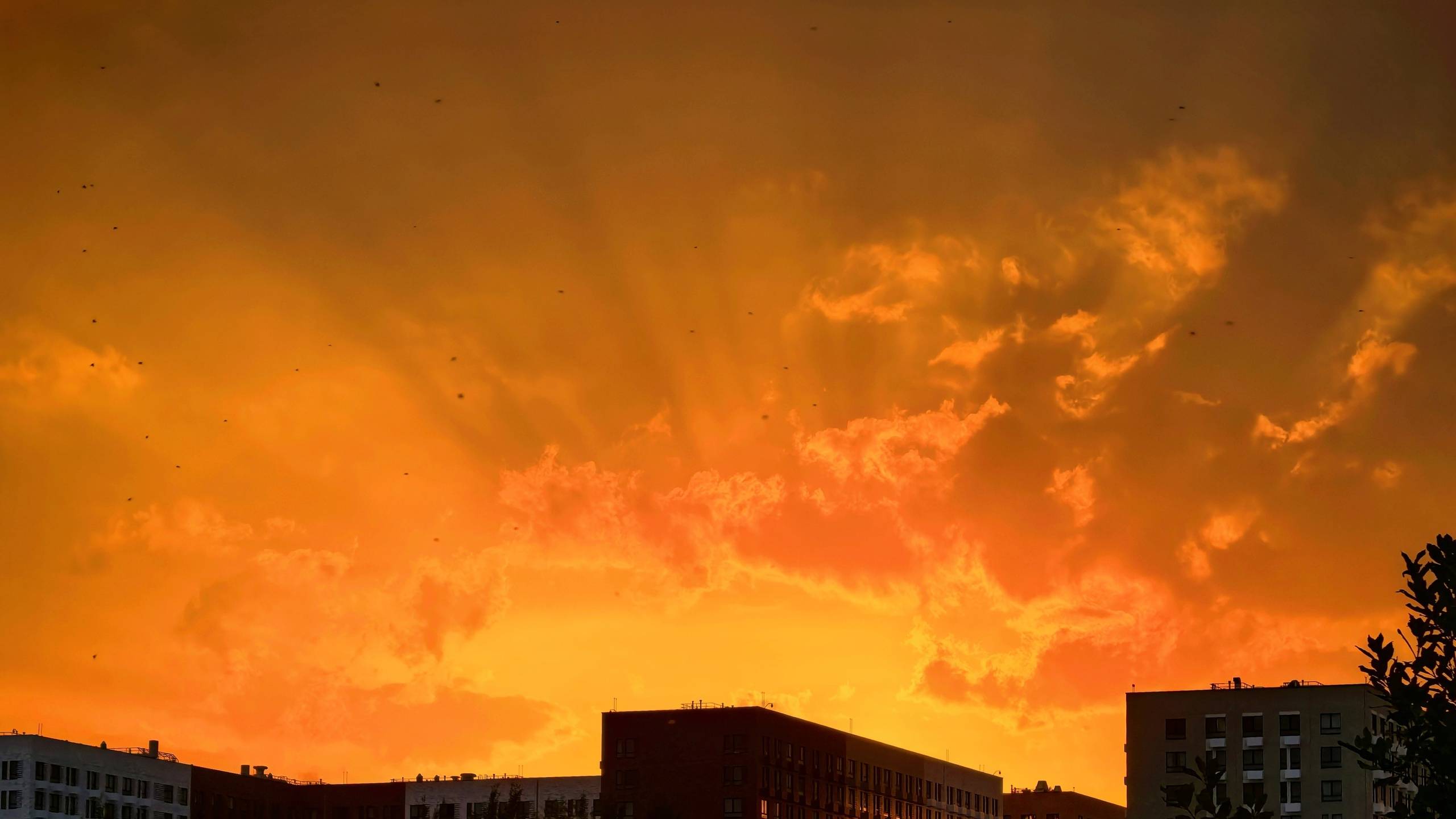 ЛУЧШАЯ МУЗЫКА ДЛЯ ДУШИ! ОЧЕНЬ КРАСИВО!