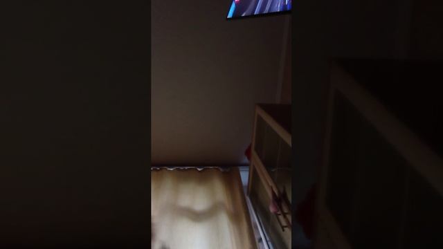 Olzlsks