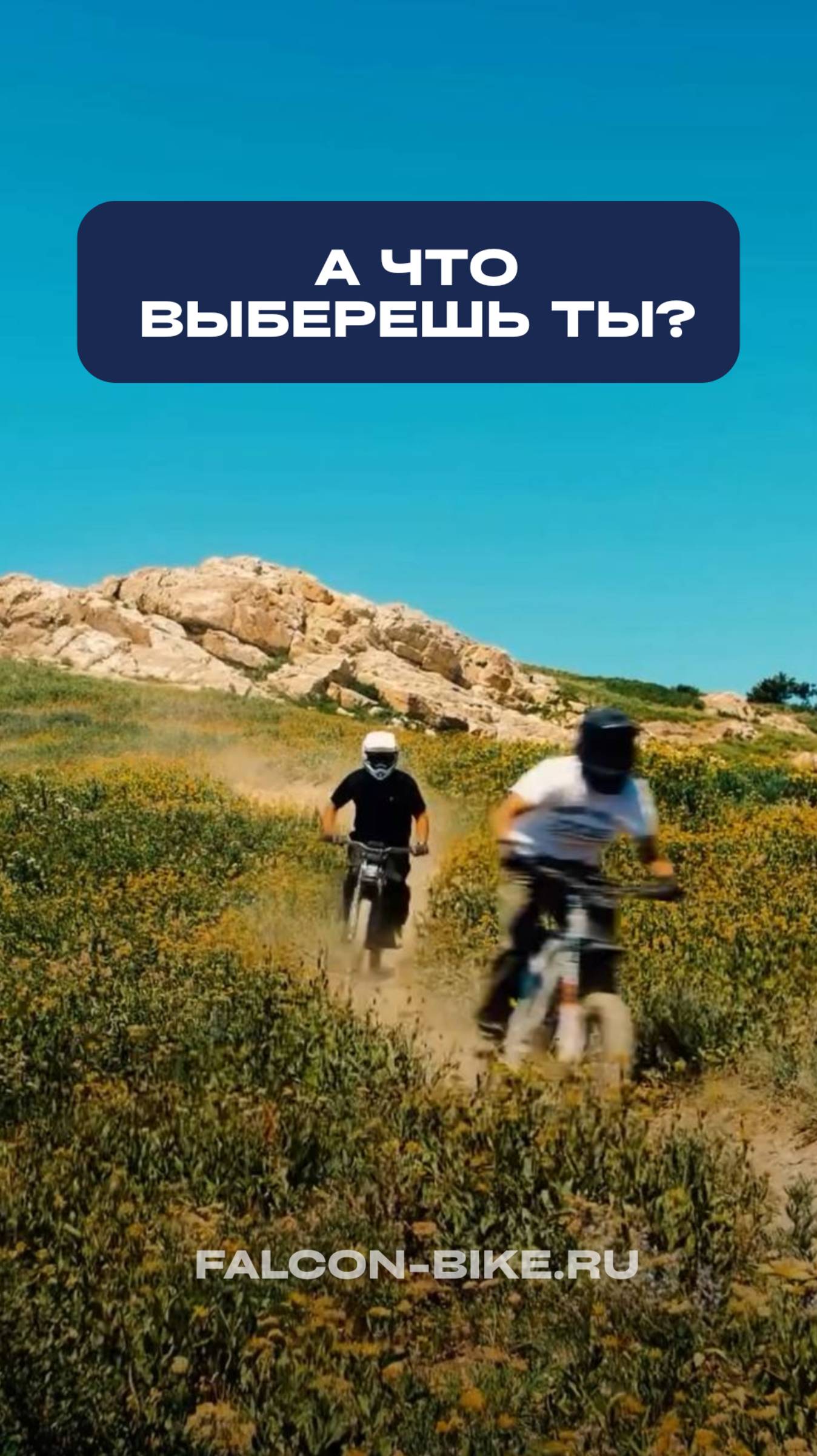 А что выберешь ты?