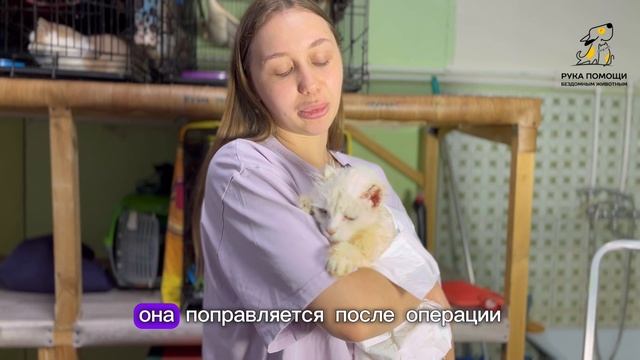 У Таити состоялась операция. Поддержать⬇️