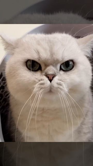 Не зевать, держать строй!