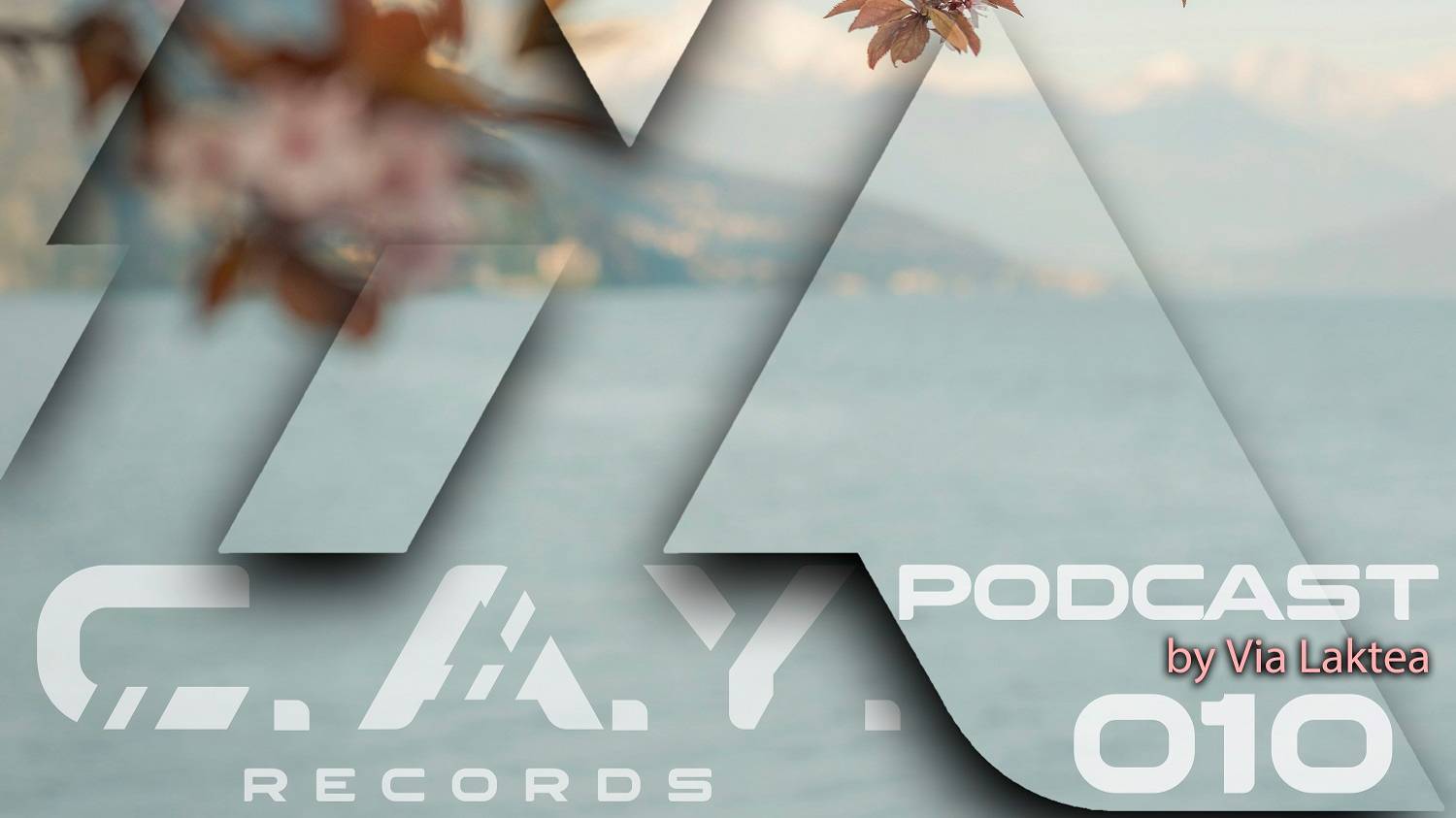 (010) C.A.Y. Records Podcast By Via Laktea