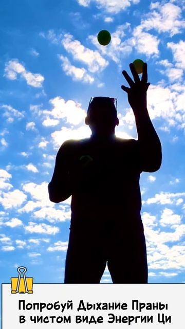 Тренинг МЕТАМОРФОЗЫ. Нейротренировки для здоровья и молодости