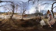 Архыз поход в альпака-парк 2024 видео 360