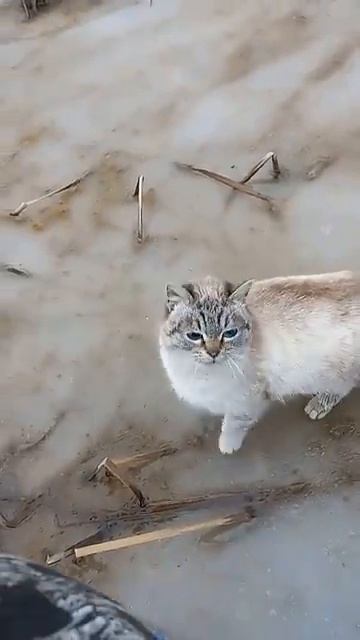 Рыбнадзор пришёл