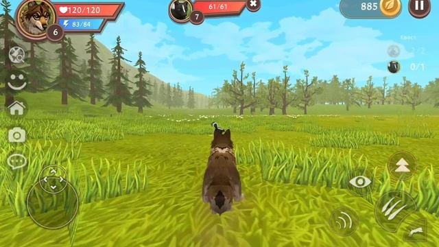 ЕНОТЫ ПОЗОРНЫЕ →WILDCRAFT 1#