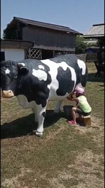 Рубен Гаспарян | ТОЧКА.РФ – МЕСТО | г. Анапа