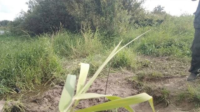 Рыбалка . чуть - чуть есть )