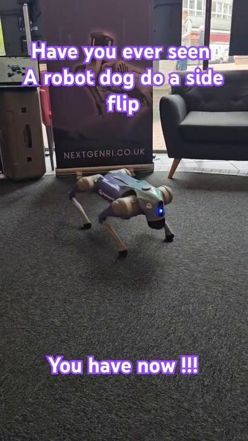 _Amazing Side Flip by Unitree Go2 Pro! _ See it Live with NextGen Ri’s Demo Dogs.mp4